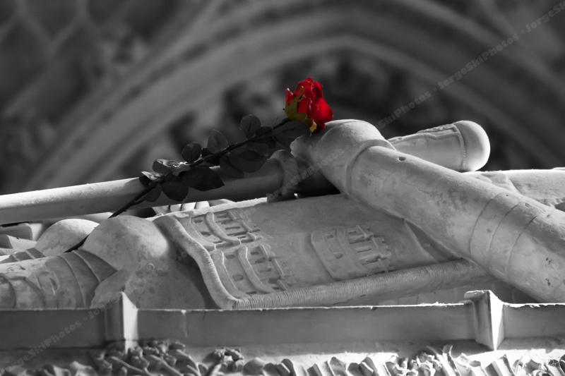 Red rose for the dead King