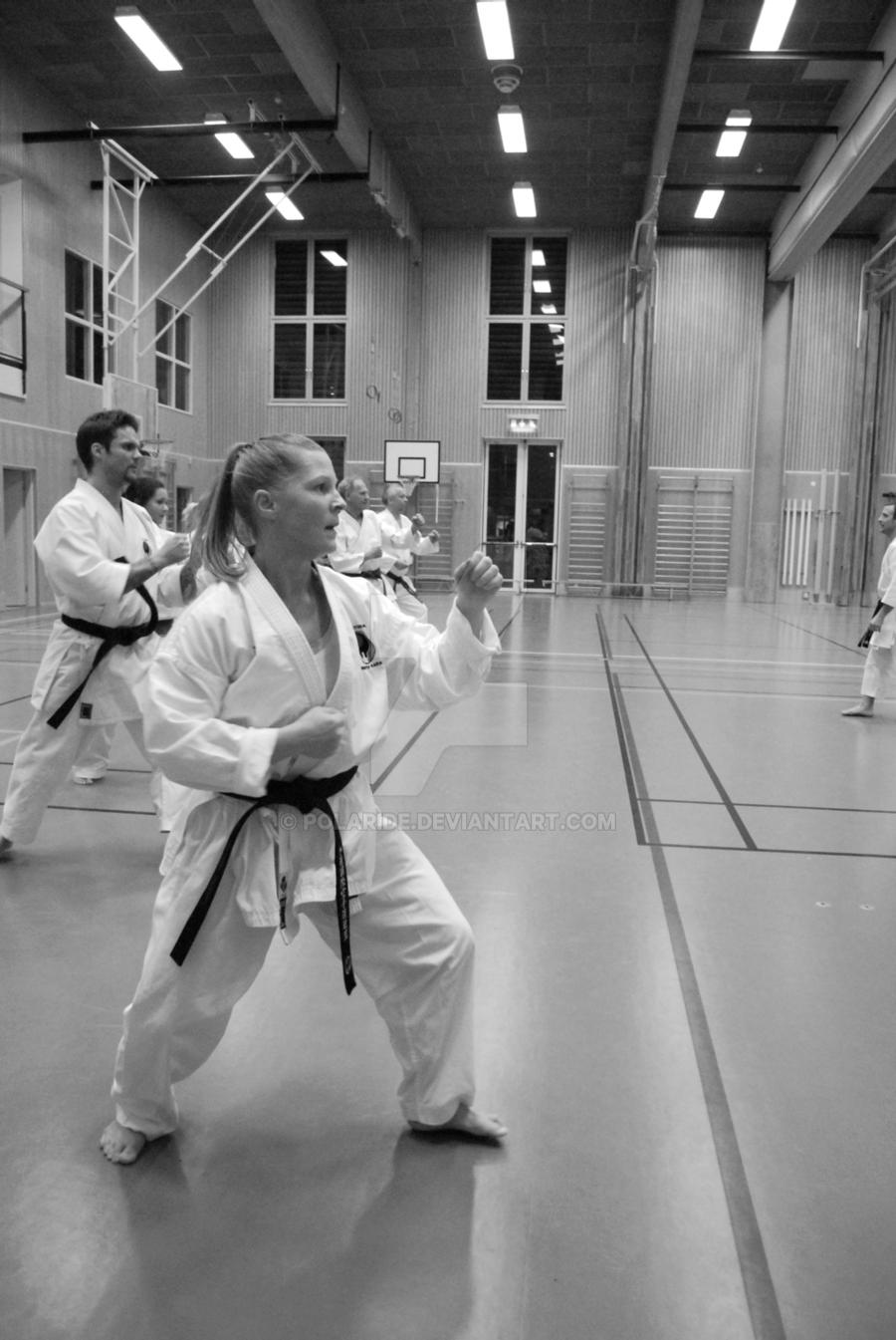Wadu Ryu Wado Ryu by Polaride on DeviantArt