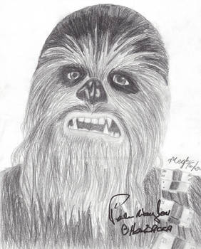 Chewbacca Print