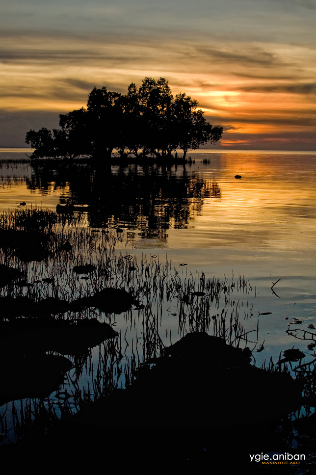 Camotes Mangrove Sunset
