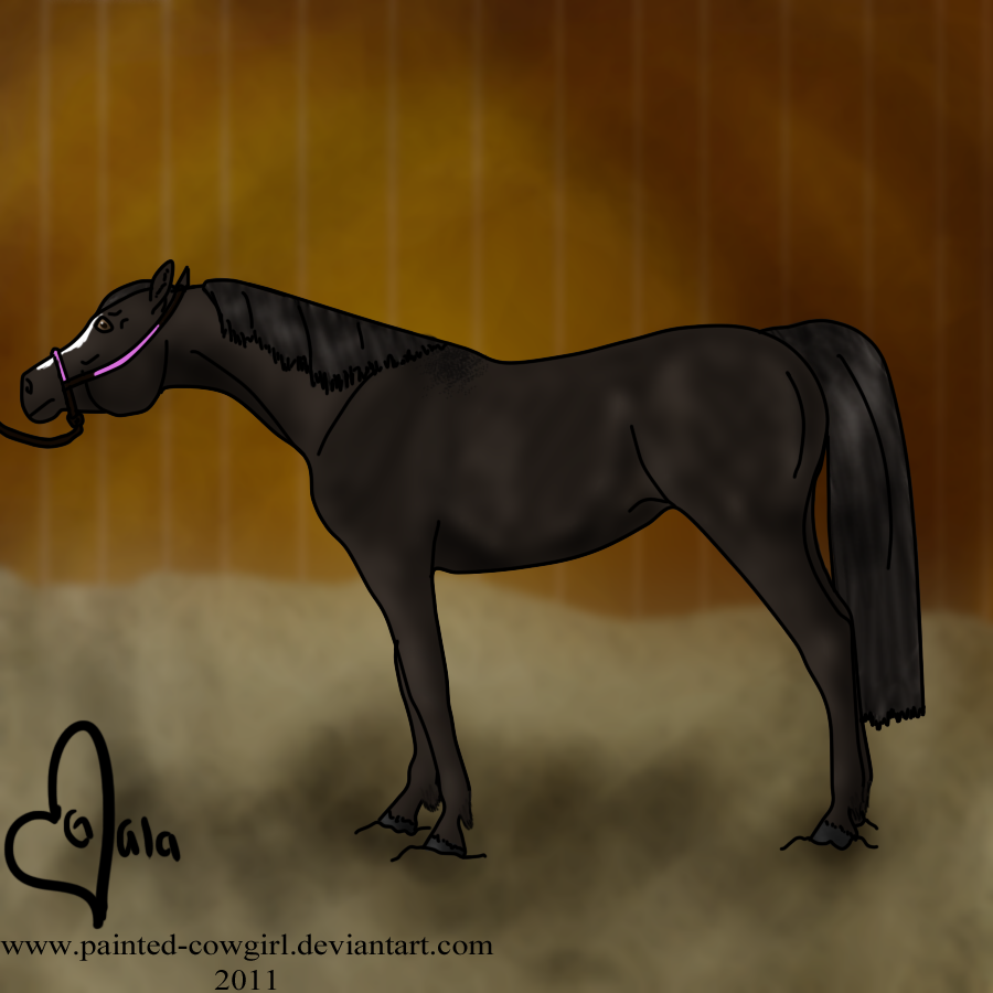 Gala- FWR Halter by painted-cowgirl on DeviantArt