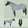 PD Whiz By Tiffs-QH