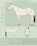 PD Inconclusive Evidence - Appaloosa by painted-cowgirl