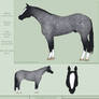 PD A Champion's Gold - QH
