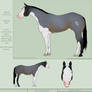 PD Sheza Fine Notice - Paint