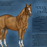PD Olenas Smart Diamond - AQH Stallion