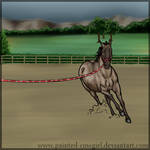 Peach - TLEC Lunge Line by painted-cowgirl