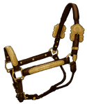 Halter Dissy by painted-cowgirl