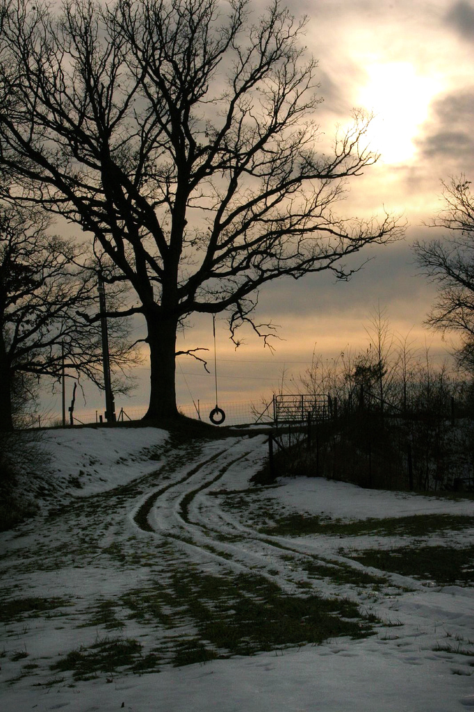 Childhood Tree