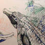 Life drawing of tomistoma at San Antonio zoo