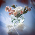 dreams of spring.. by vvola