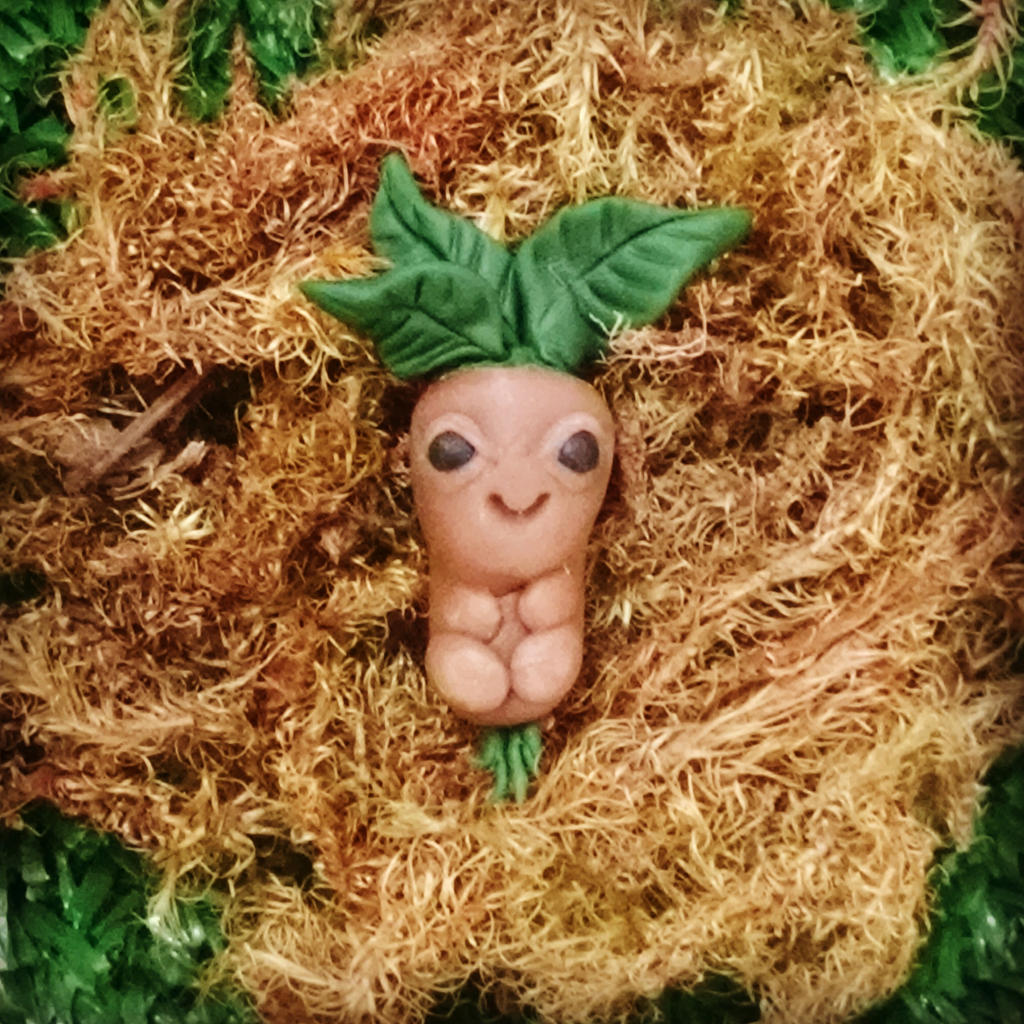 Mandragora Harry Potter By Artesladybug On Deviantart Mandragora Harry Potter By Artesladybug On Deviantart