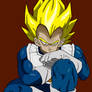 Vegita colour B