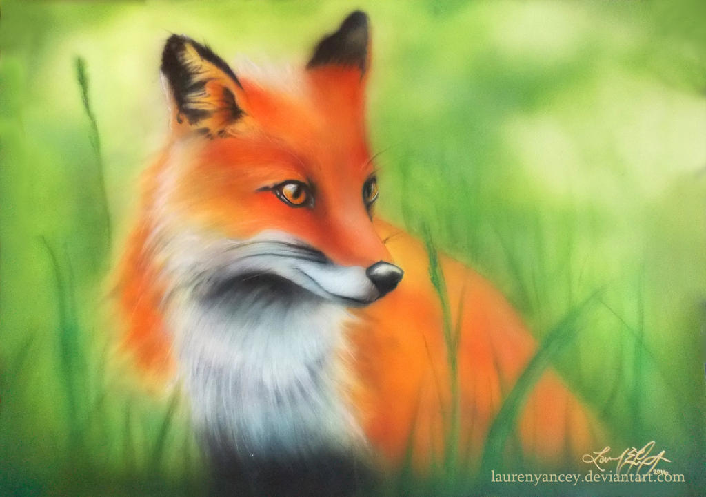 The Red Fox by LaurenYancey on DeviantArt