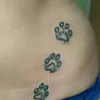 Dogtracks tattoo