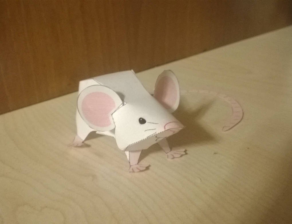 Mouse papercraft by anfisajordan on DeviantArt