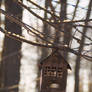 Bird house