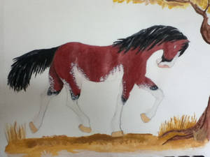 Blood Bay Sabino Draft Stallion - WIP