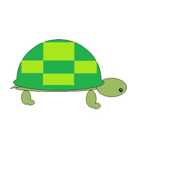 Turtle _I love them