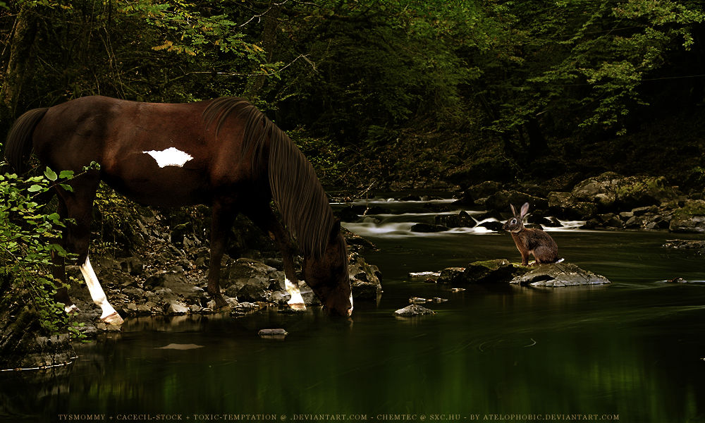 The Mare and Her Hare