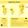 Ref Sheet: Lightning Storm