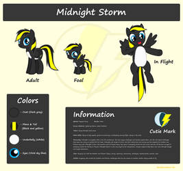 Ref. Sheet: Midnight Storm