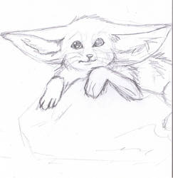 Fennec