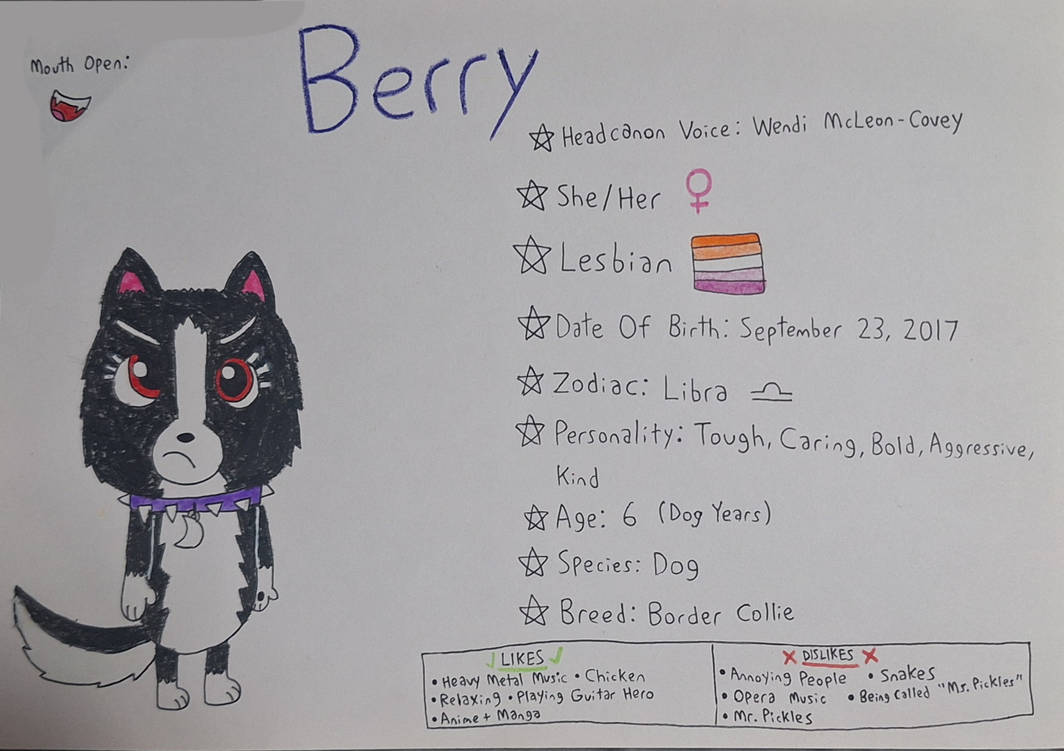 Berry Reference Sheet by DatOnePegacoonGirl on DeviantArt