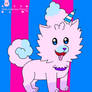 Cotton Candy Pombon adopt