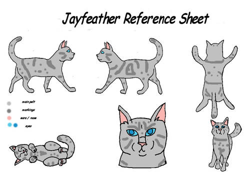 Jayfeather Reference Sheet