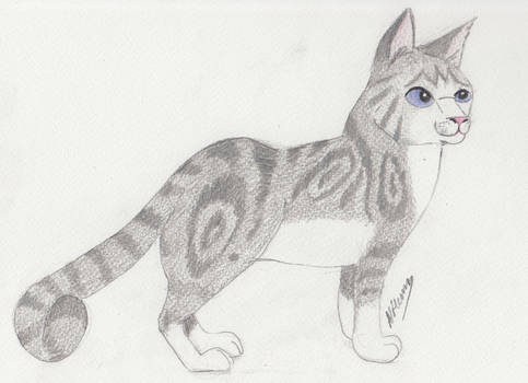 Ivypool