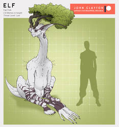 Fae Anatomy: Elf