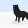 Snow Wolf