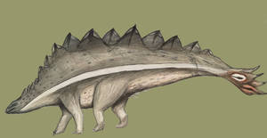 Stegosaurus decoy-tail theory