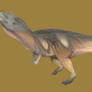 Ceratosaurus nasicornis