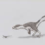 Ornitholestes going fast