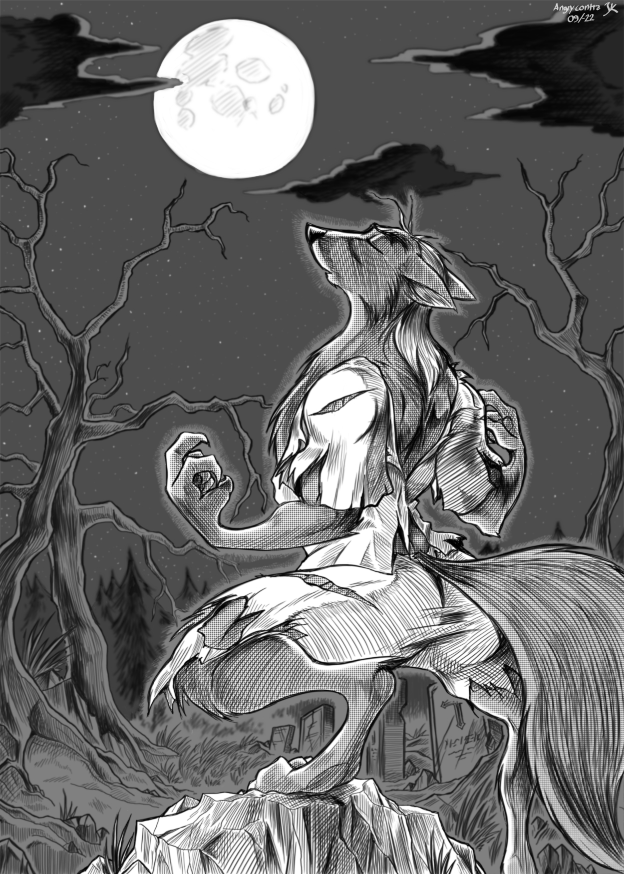 Werewolf howling at Moon by angrycontra on DeviantArt