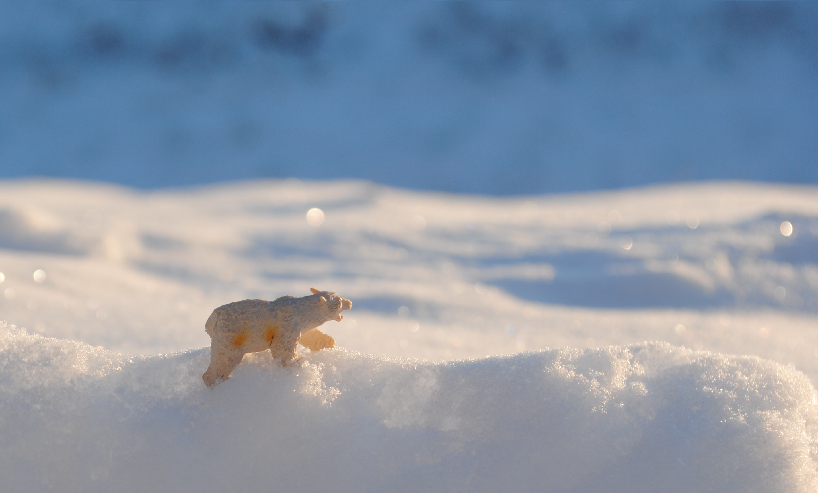 Tiny Tundra