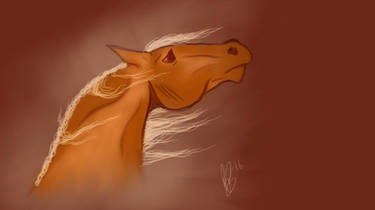 Quick Horse Sketch