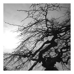 a haunting 05