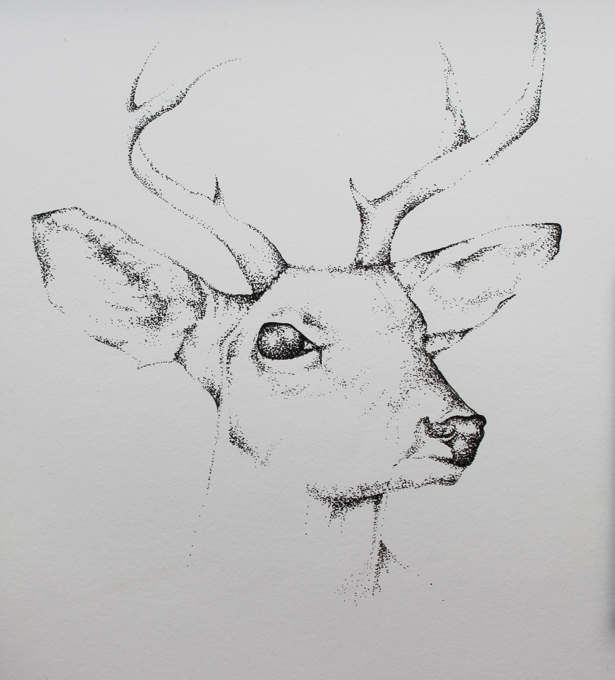 Dotwork Deer