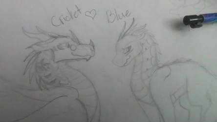 Wings Of Fire: Cricket and Blue
