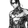 Nightwing......