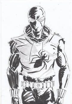 ScarletSpider11172017