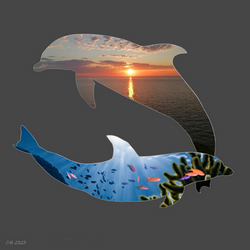Dolphin Design 1
