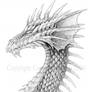 Dragon-