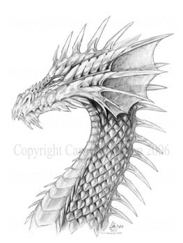 Dragon-