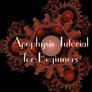 Apophysis Tutorial - Beginners