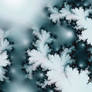 A Winter Fractal