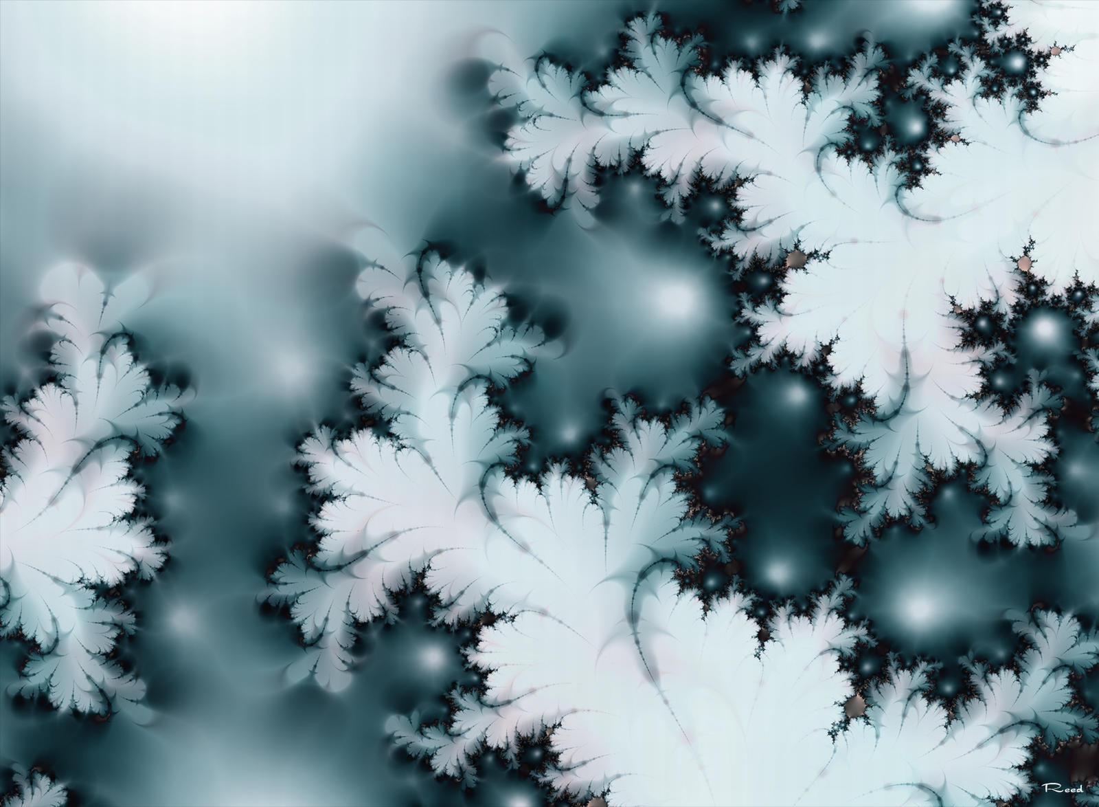 A Winter Fractal